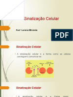 Sinalização Celular