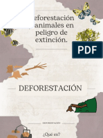 Deforestación y Animales en Peligro de Extinción