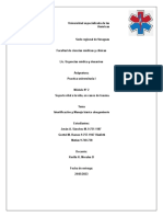 Ahogamiento Falta Conclucion PDF