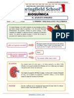 Ficha 5° Prim - El Aparato Urinario - Lic. Lorena Paucar Barrionuevo