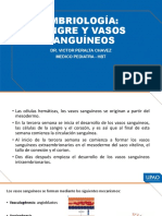 Embriologia Sangre y Vasos Sanguineos