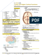 Cerebral Cortex and Higher Cortical Functions