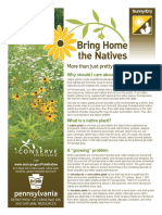 PA Native Plants For Sunny & Dry Locations