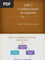 Niif3combinacionesdenegocios 140514072816 Phpapp02