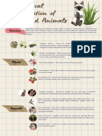 Taxonomical Classification of Plants and Animals