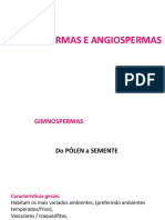 Gimno e Angiospermas Slides Aula