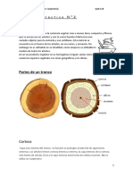 TpN2Carpinteria 1diller