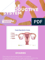 Female Reproductive System