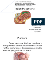 Placenta