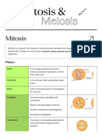 Mitosis and Meiosis Exam