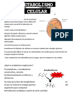 Metabolismo Celular G.C.F