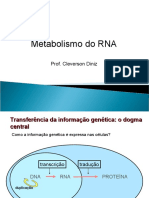 Aula 6 - Metabolismo Do RNA