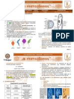 P3-A1. Generalidades de Protozoarios