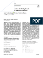 Characterization of An Iron Ore Tailing