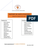 Rapport Final-1 Ve Groupe B 2022