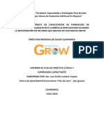 Proyecto GROW Luis Emilio