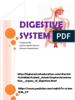 Digestive System