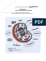 Anatomy Ans Physiology Cell Structures and Functions - LAB EXERCISE