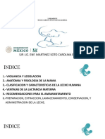 Lineamiento Tecnico-Medico de Lactancia Materna SJP