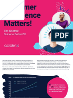 Acrolinx Customer Experience Matters Guide