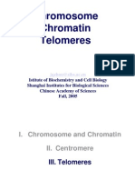 Zhou Chromosome and Chromatin 2