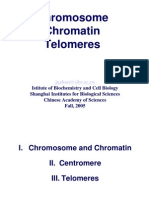 Zhou Chromosome and Chromatin 1 New