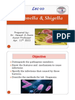 L15 Salmonella