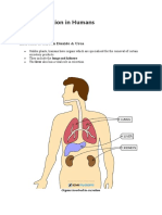 Biology 13