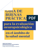 Guía de Buenas Prácticas para La Evaluación Neuropsicológica en El Ámbito de La Salud Mental