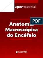 Anatomia Macroscpica Do Encefalo