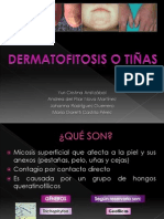 Dermatofitosis o Tiñas