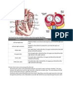 Acquired Heart DX