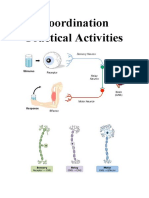 Coordination Practical Activities