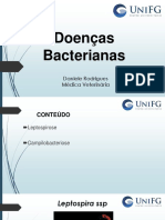 Aula 5 - Leptospirose e Campilobacteriose