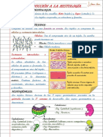 Laminas de Anatomia 2 Edicion Histologia