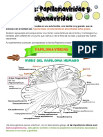 Familia Papilomaviridae y Polyomaviridae