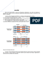 05 Biofísica - Prof. Marcus Nery