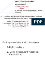 Photosynthesis