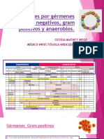 Infecciones Por Gérmenes Gram Negativos, Gram Positivos