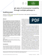 Adaptation To High Rates of Chromosomal Instability and Aneuploidy Through Multiple Pathways in Budding Yeast