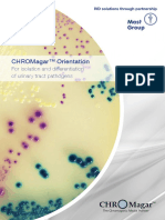 MIBI-Fly CHROMagar Orientation-E