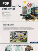 Contaminación Ambiental