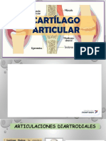 Biomecánica Del Cartílago Art