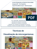 VISUALIZAÇÃO DE MICROORGANISMOS Republica ATUALIZADO