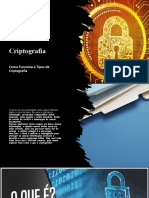 Criptografia - Diego Fernando