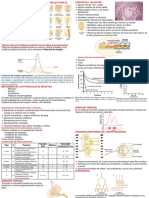 Sensitivas Fisio2