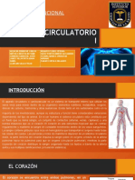 Trabajo Sistema Circulatorio