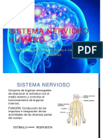 Sistema Nervioso