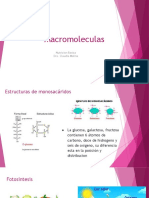 Macromoleculas