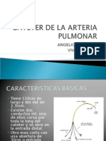 Cateter de La Arteria Pulmonar